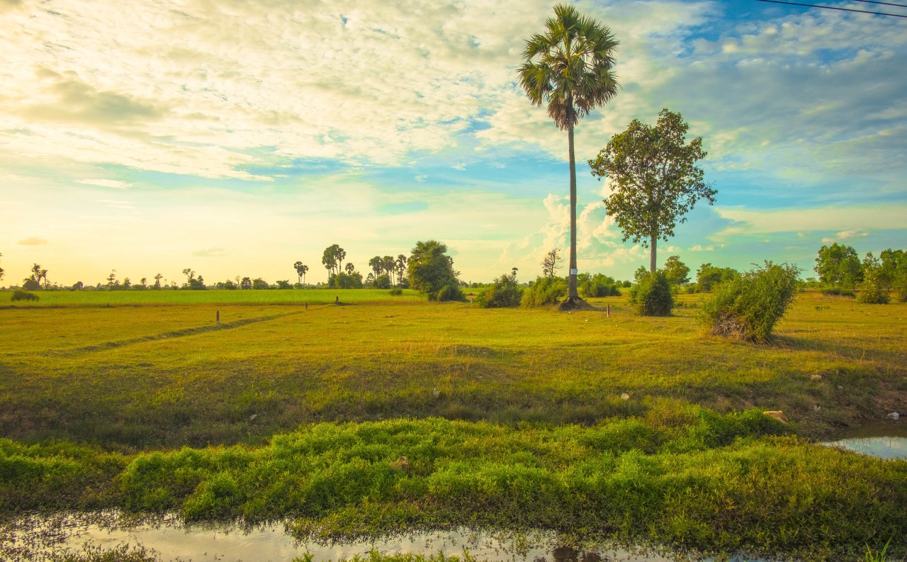 Cambodge - Lorsqu’un étranger souhaite acquérir du foncier dans le Royaume